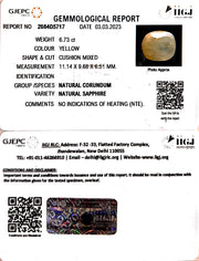 6.73/CT Natural Ceylonese Pukhraj with Govt Lab Certificate-(6771)